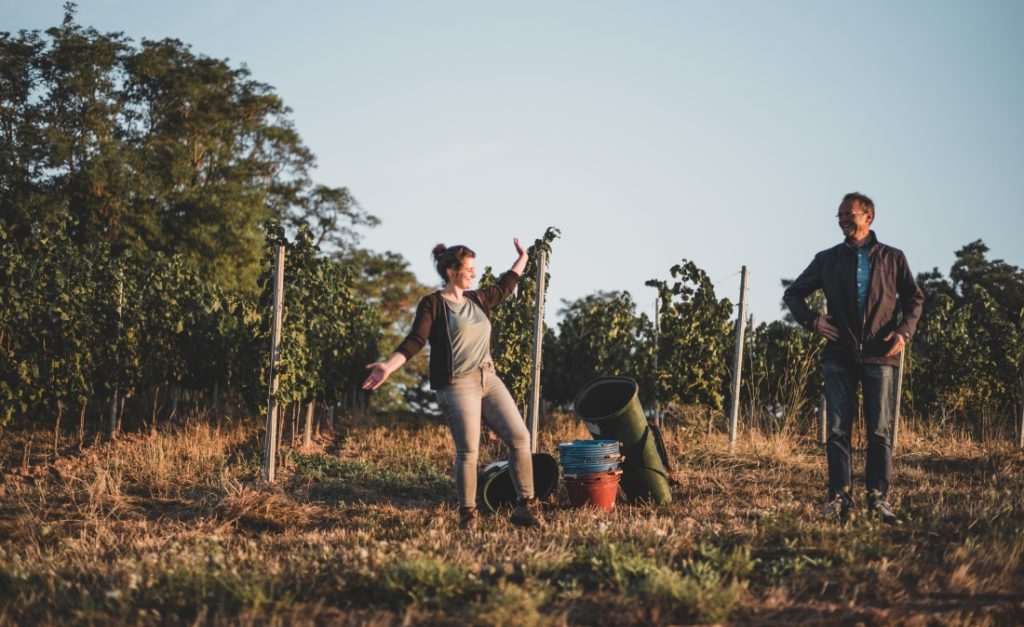 VAUX eigenes Weingut Geschichte